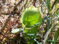 100_1589.jpg